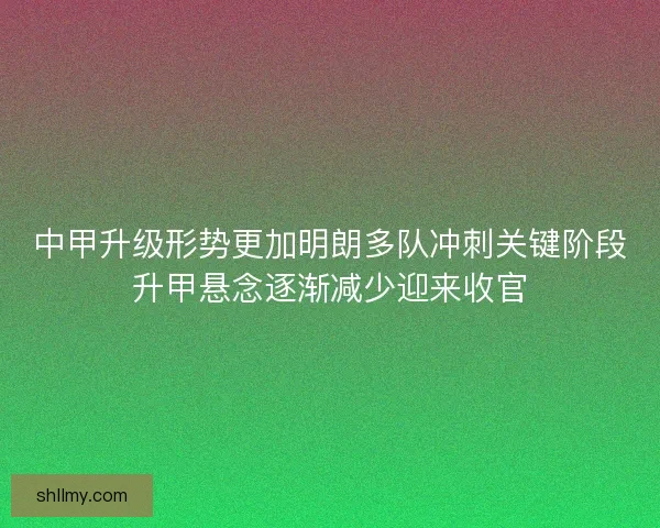 中甲升级形势更加明朗多队冲刺关键阶段升甲悬念逐渐减少迎来收官
